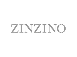 ZINZINO logo